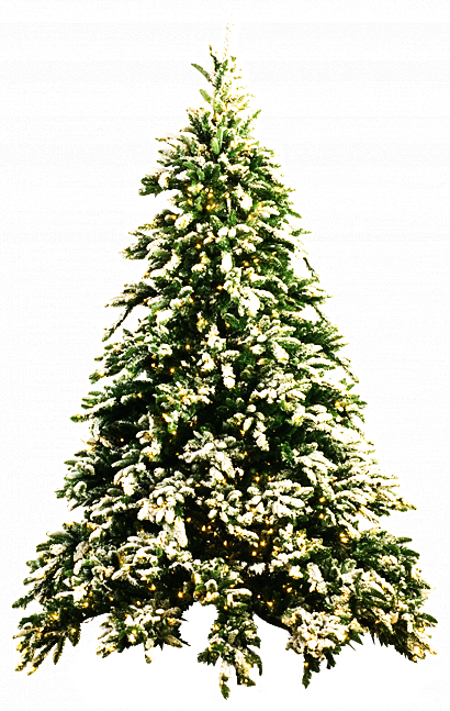 christmas_tree