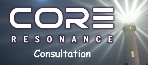 $3500 Consultation with J.Hamilton